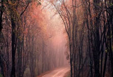 【原创】足彩分析预测足彩:周六004德乙-布伦瑞克VS沙尔克04.