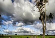 仍想談續約!大巴黎主席未放棄說服姆巴佩!.