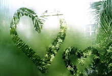 索斯蓋特為什麼叫南門?南門什麼梗?.